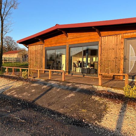 Petit Chalet Au Coeur De La Foret Proche Disney La Houssaye-en-Brie 외부 사진